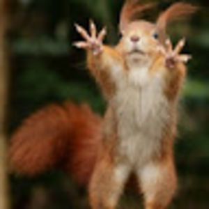 Meet your Posher, Melanie